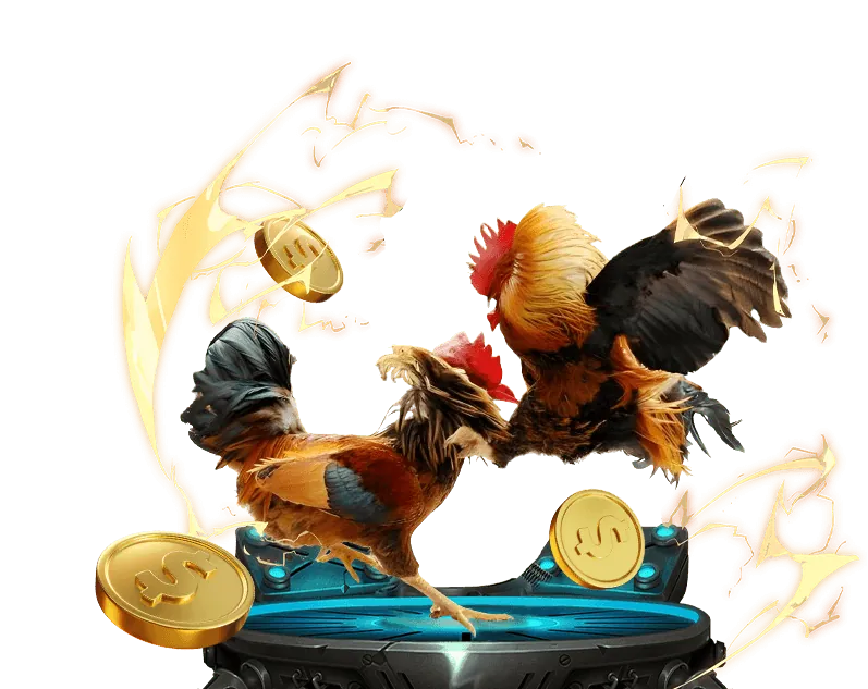 Cá cược Thể thao U888